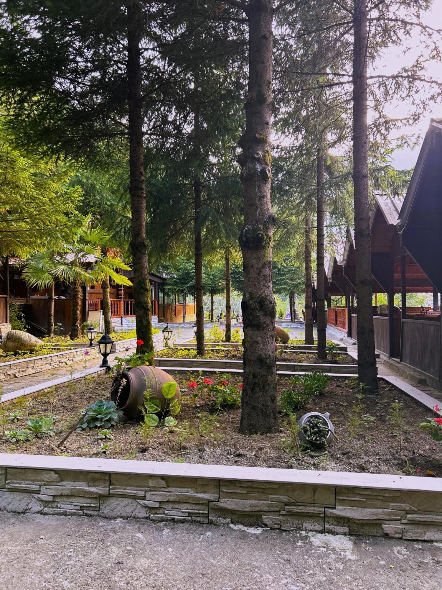 Isikli Kale Hotel Caykara Exteriér fotografie