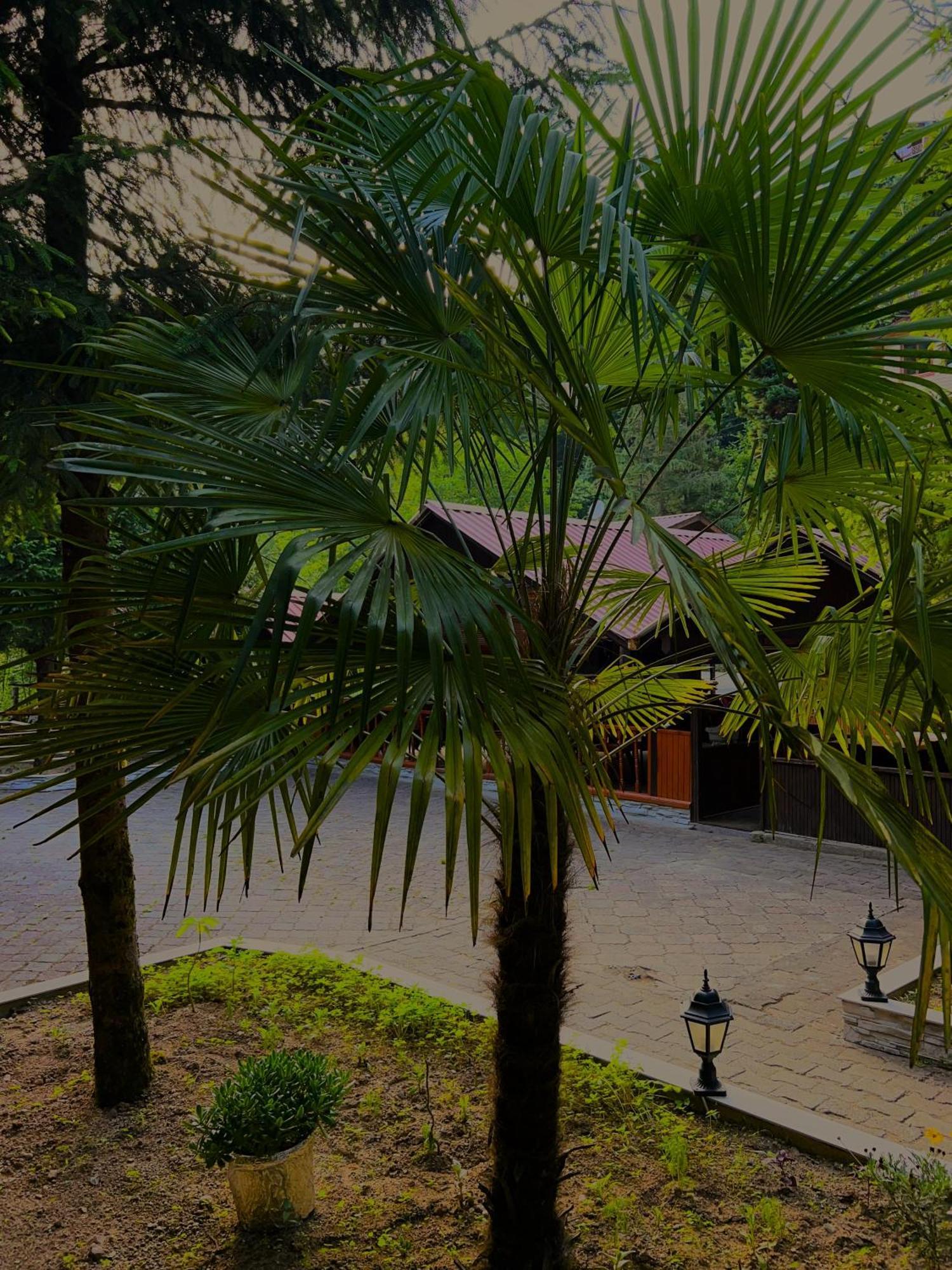 Isikli Kale Hotel Caykara Exteriér fotografie