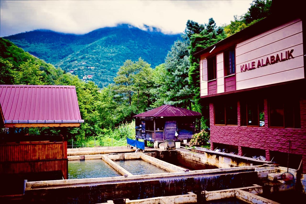Isikli Kale Hotel Caykara Exteriér fotografie
